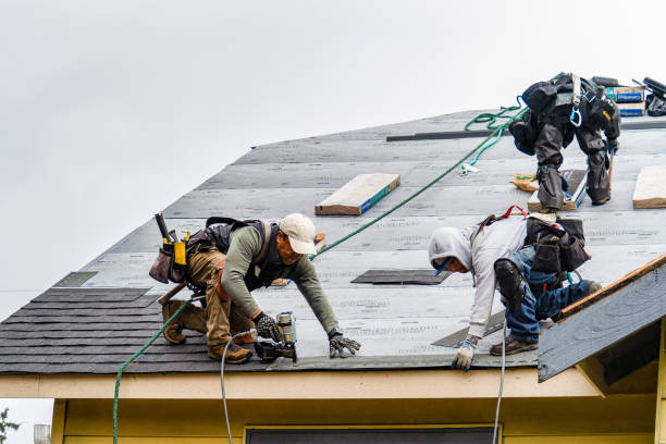 Professional Storm Damage Roof Repair technician working in Hamilton, TX